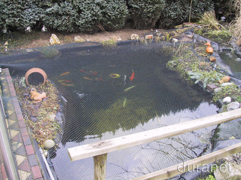 Filets pour étang > Aquiflor - Jardinerie Aquatique