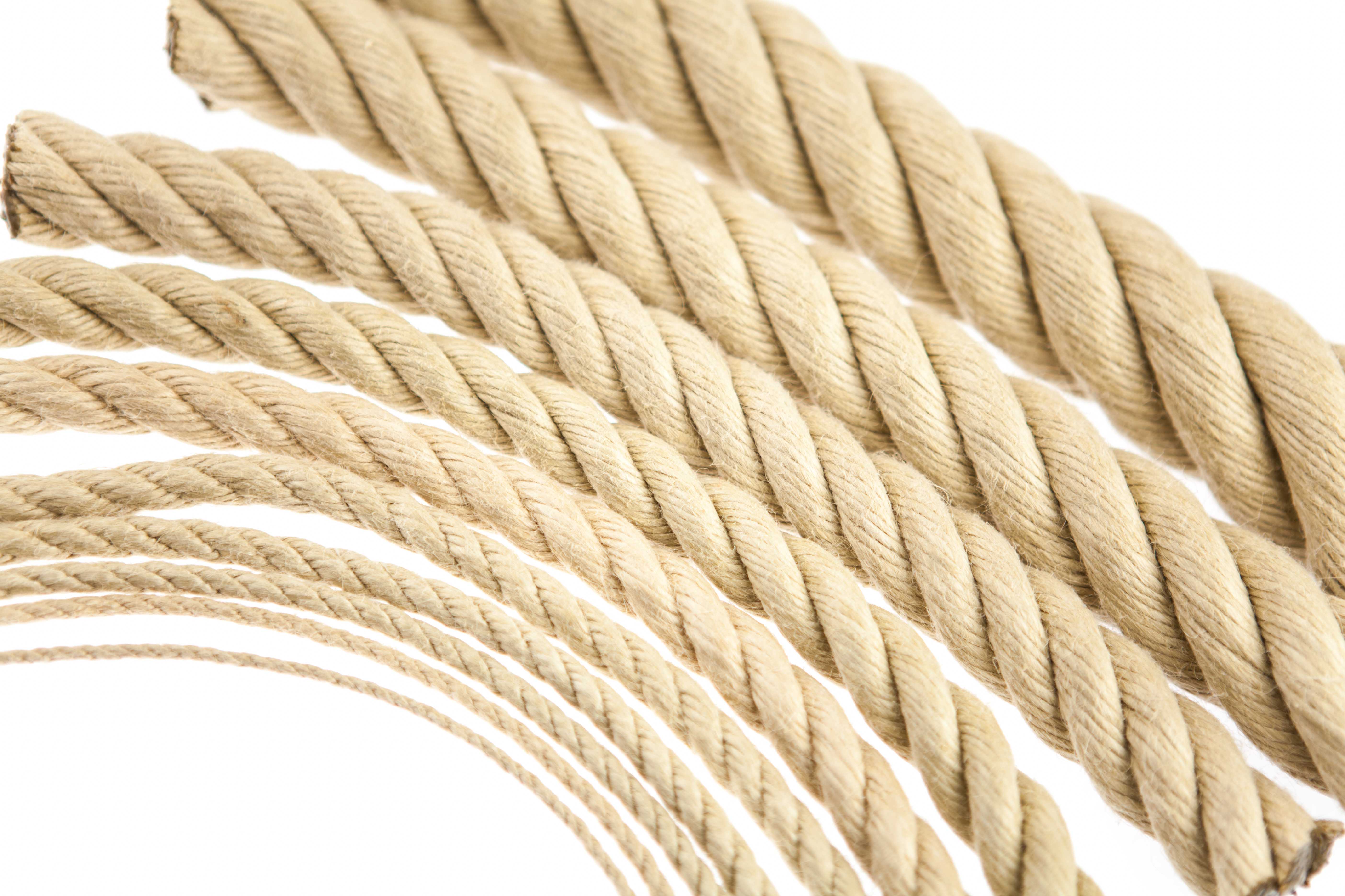 Corde tressée - Beige naturel - 10 mm - Au mètre (sur mesure